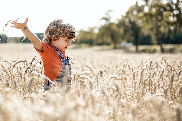 como-a-natureza-afeta-o-desenvolvimento-das-criancas