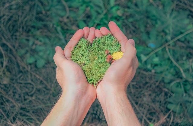 como-a-natureza-afeta-o-desenvolvimento-das-criancas